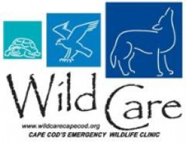 Wild Care Inc.  logo