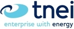 TNEI Services ltd. logo