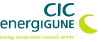 CIC energiGUNE  logo