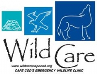 Wild Care Inc.  logo