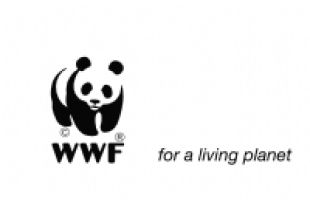 WWF Pakistan logo