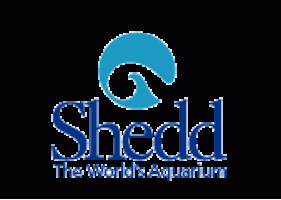 Shedd logo