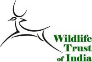 Wildlife Trust of India logo