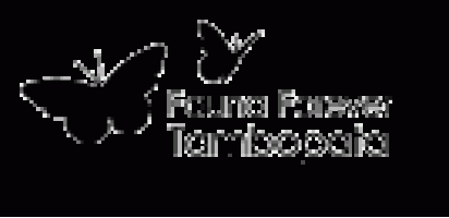 Fauna Forever Tambopata logo