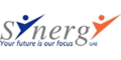 Synergy Executive Search logo