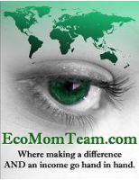 EcoMomTeam logo