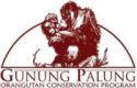 Gunung Palung Orangutan Conservation Program 