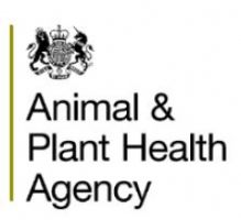 The Animal and Plant Health Agency (APHA)  logo