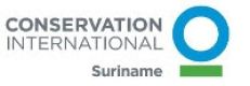 Conservation International Suriname