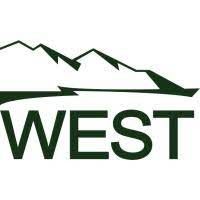 Western EcoSystems Technology, Inc. logo