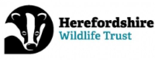 Herefordshire Wildlife Trust  logo