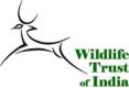 Wildlife Trust of India