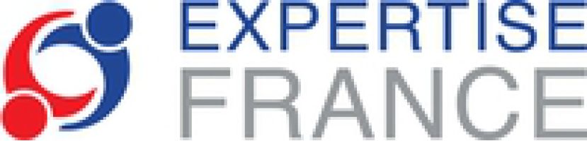 Expertise France (EF) logo