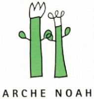 Archie Noah logo
