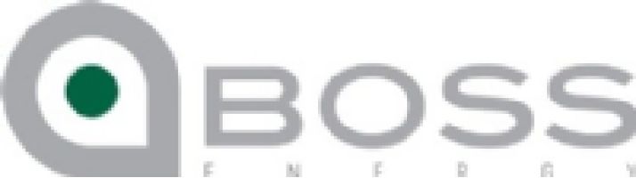 Boss Energy Consulting logo