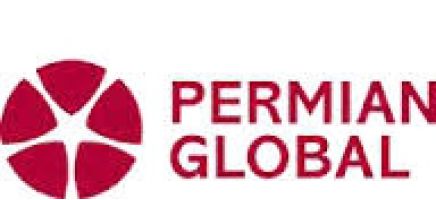 Permian Global  logo