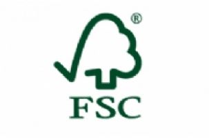 FSC International Center  logo