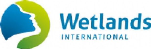 Wetlands International logo