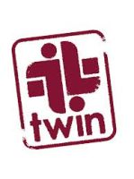 Twin Trading  logo
