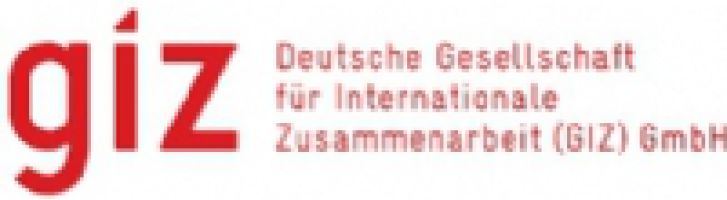 Deutsche Gesellschaft for Internationale Zusammenarbeit (GIZ) logo