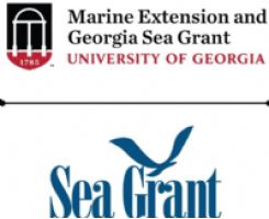  University of Georgia  logo