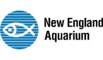 The New England Aquarium  logo