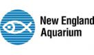 The New England Aquarium 