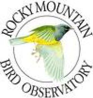 Rocky Mountain Bird Observatory (RMBO) logo