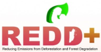 REDD+  logo