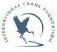 The International Crane Foundation (ICF)  logo