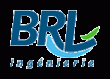 BRLI Consulting Firm
