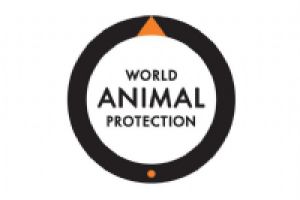 World Animal Protection logo