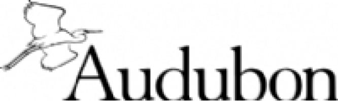 The National Audubon Society  logo