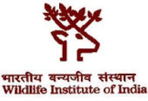 Wildlife Institute of India logo