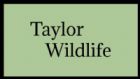 Taylor Wildlife