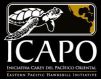 The Eastern Pacific Hawksbill Conservation Project