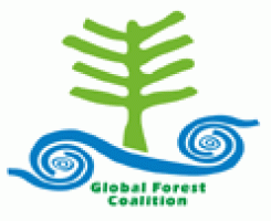 The Global Forest Coalition (GFC) logo
