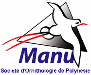 The Ornithological Society of Polynesia -  logo