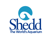 Shedd logo