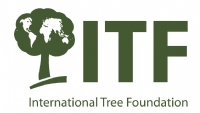 International Tree Foundation logo