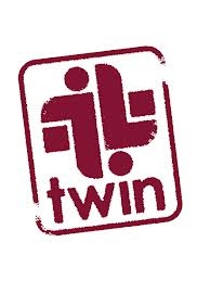 Twin Trading  logo