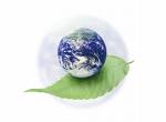 Environmental Recruitment USA Inc logo