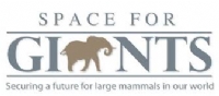 Space for Giants  logo