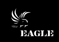 EAGLE Network logo