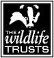 Kent Wildlife Trusts logo