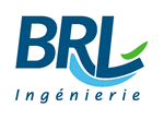BRLI Consulting Firm logo