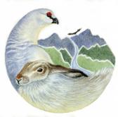 Alba Ecology Ltd logo