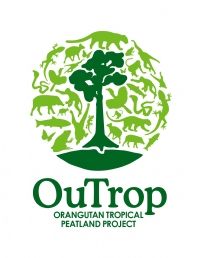 The Orangutan Tropical Peatland Project logo