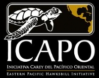 ICAPO logo