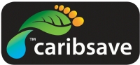 The INTASAVE Partnership and CARIBSAVE logo